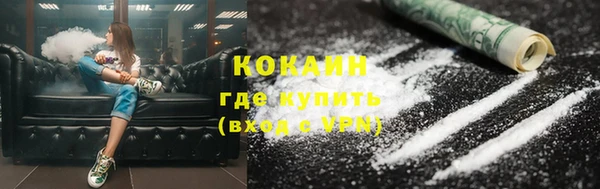 шишки Бронницы
