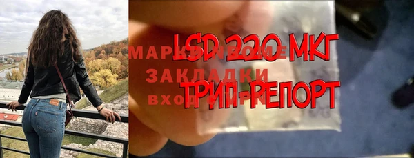 прущие крисы Бородино