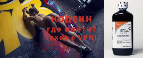 прущие крисы Бородино