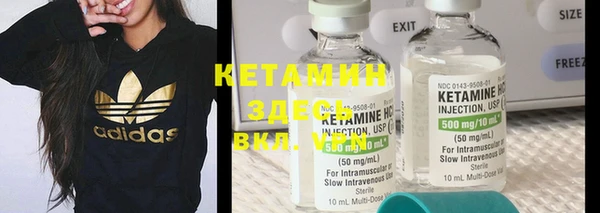 прущие крисы Бородино