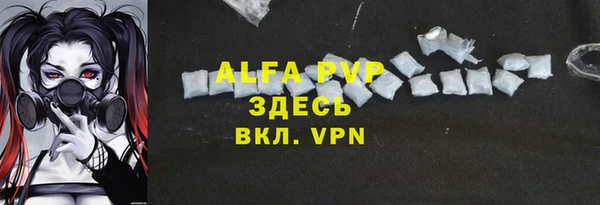 прущие крисы Бородино