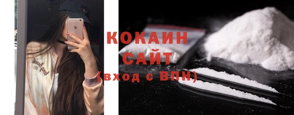 прущие крисы Бородино