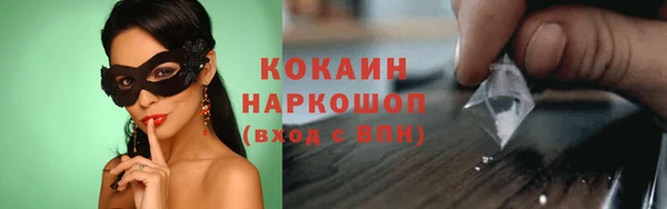 прущие крисы Бородино