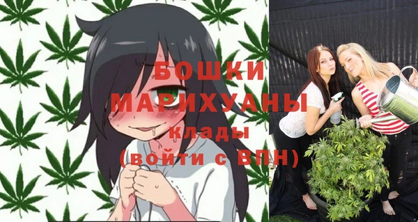шишки Бронницы
