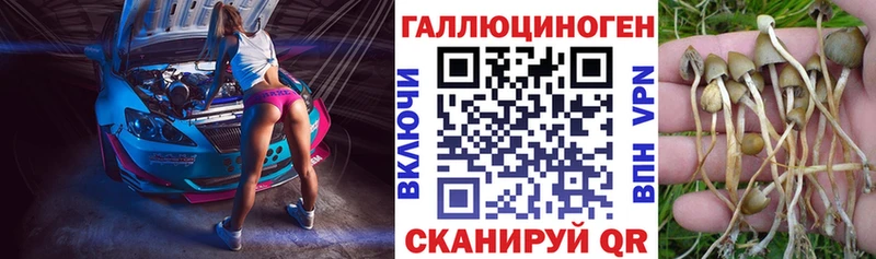 Псилоцибиновые грибы мицелий  Нариманов 